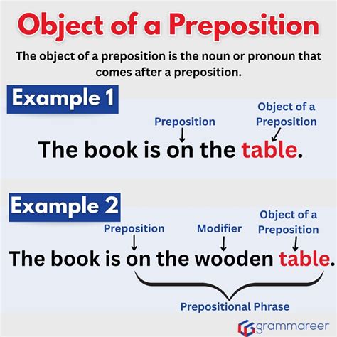 Prepositions: Definition, Types, List, and Examples in English - Grammareer