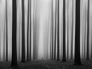 Jplo9|#Jp London MACR1X528748 Jpl and Jochen Bongaerts Present ...