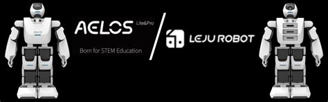 LEJU ROBOT – REES52