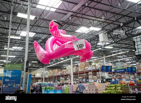 Image result for How to Deflate Inflatable Flamingo
