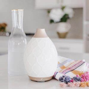 Image result for How to Clean Diffuser