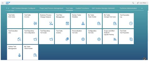 Solution Manager Test Suite 的图像结果