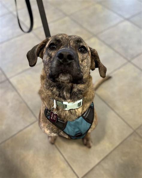 Gallery | Bloomsburg Vet Hospital