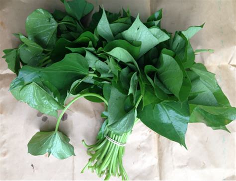 Locally Grown Produce 的图像结果