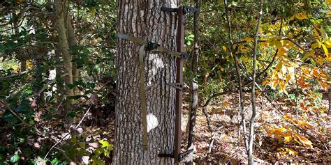 Review Climbing Sticks for Hunting 的图像结果