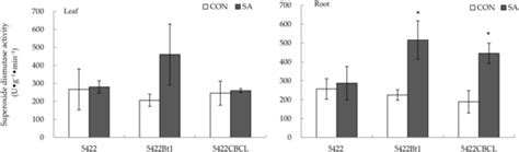 Effects of Exogenous Salicylic Acid Application to Aboveground Part on ...