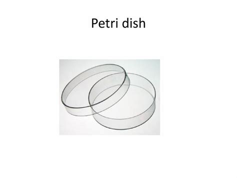 Biotechnology Lab Tools 的图像结果