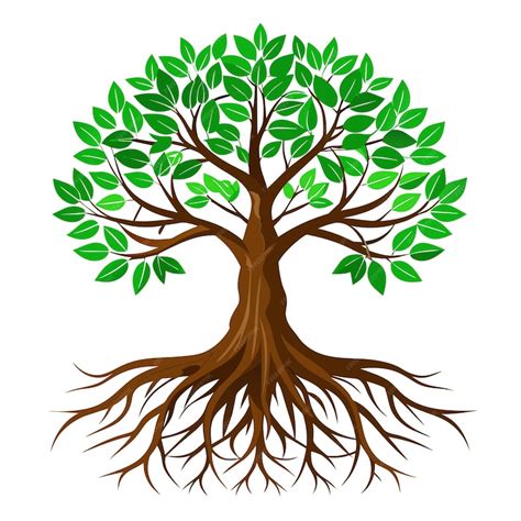 Realistic tree vector illustration isolated on white screen | Premium ...