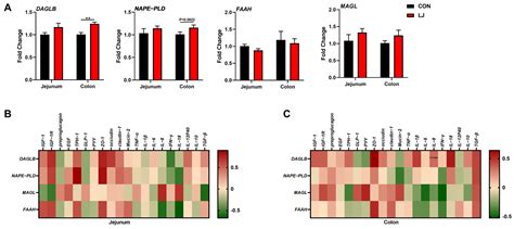 Lactobacillus johnsonii Improves Intestinal Barrier Function and ...