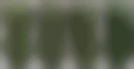 Tentacled Beer Chalices : cthulhu tiki mug