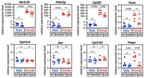 DHCR24, a Key Enzyme of Cholesterol Synthesis, Serves as a Marker Gene ...
