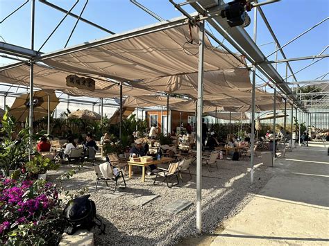 森野薈 - 圍爐煮茶 | No.1 香港好去處指南 (試玩,攻略,優惠資訊平台) - school-god.com