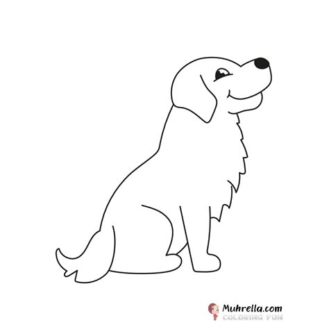 Coloring Pages Golden Retriever
