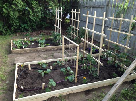 Raised beds with trellises for tomatoes and cucumbers | Cucumber ...