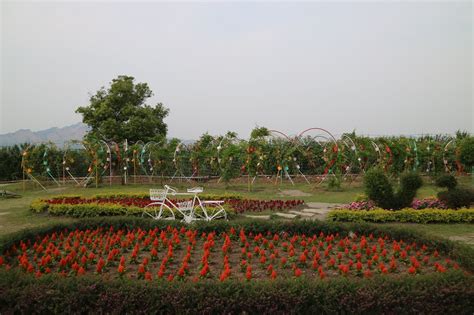 Go to Flower Market 的图像结果