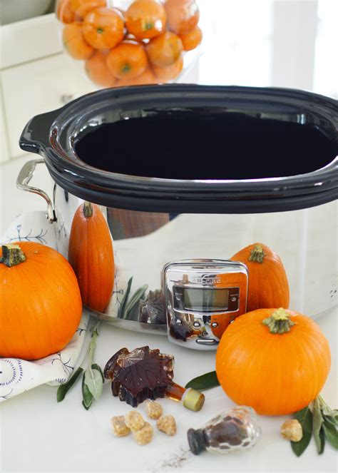 Pumpkin Spice Potpourri Simmer Pot for Fall - Get Green Be Well