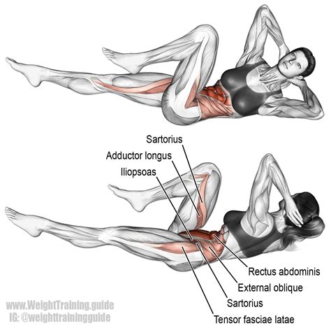 Bicycle crunch exercise instructions and video | Weight Training Guide ...
