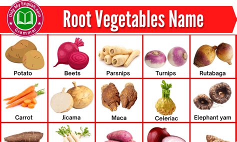 Root.food Names 的图像结果