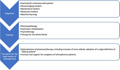 Frontiers | Crossroad between current knowledge and new perspective of ...