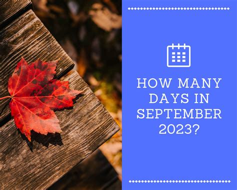 February Calendar With Special Days