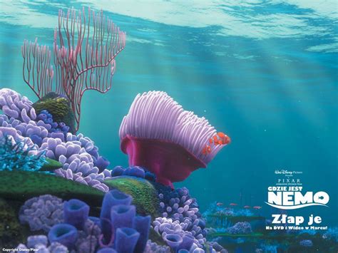 Image result for Finding Nemo Computer