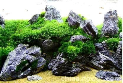 Seiryu Rock for Aquascaping, Aquariums, Terrariums, Vivariums River Ro ...