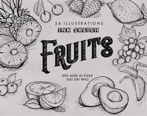 Buy Vintage Fruits Clipart: Hand-drawn Ink Sketch (EPS, AI, PNG) Online ...