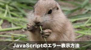 JavaScriptのエラー解決法 的图像结果