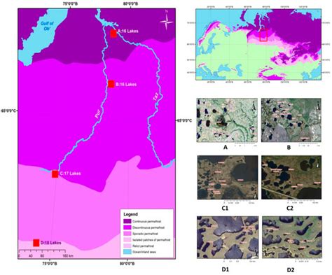 Spatial and Seasonal Variations of C, Nutrient, and Metal Concentration ...