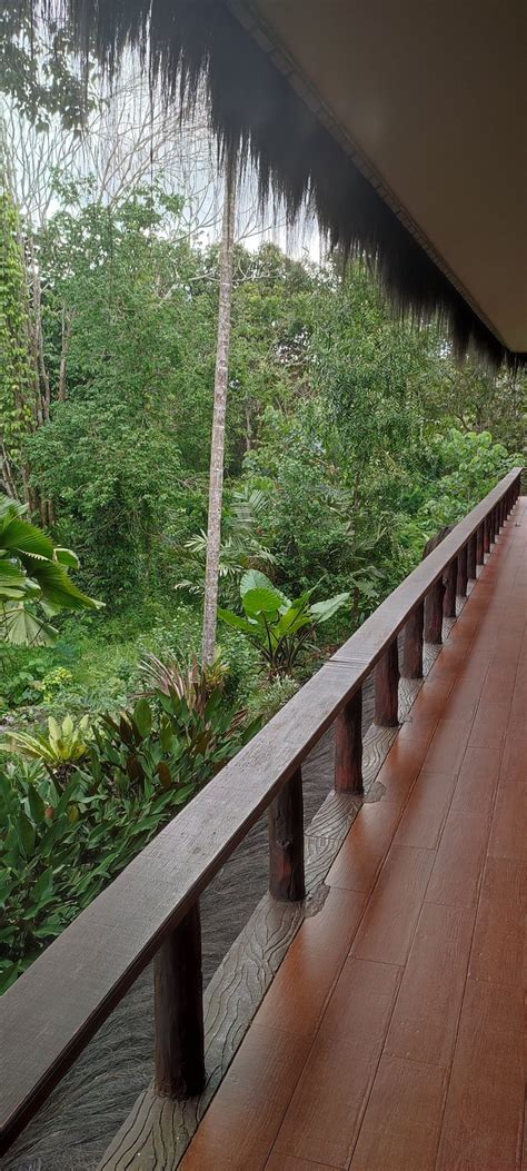 SAMBOJA LODGE (Balikpapan) - Lodge Reviews & Photos - Tripadvisor