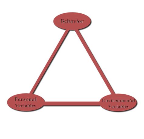 Image result for Reciprocal Determinism Examples