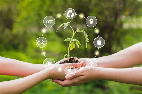 Impacto medioambiental y sostenibilidad