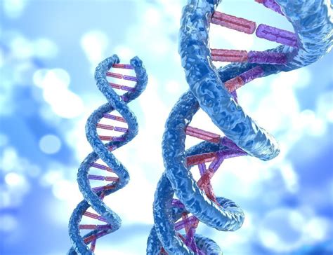 【生物大师 高中】DNA是主要的遗传物质（上）——星际探索_哔哩哔哩_bilibili
