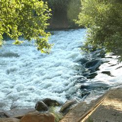 Image result for River Table Project