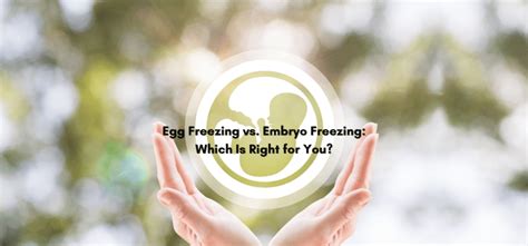 Egg Freezing vs Embryo Freezing: Choosing What’s Right for You