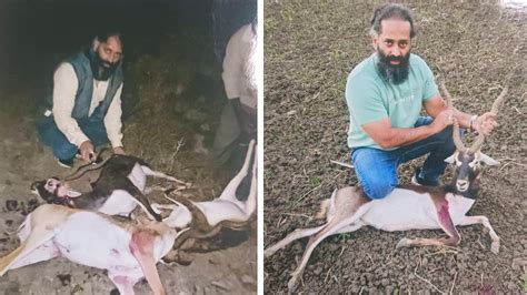 Major Poaching, Wildlife Smuggling Racket Exposed