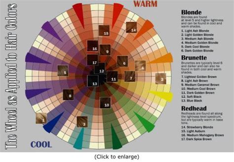blonde hair color wheel