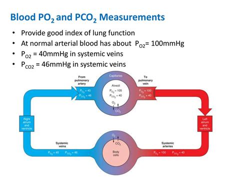 Image result for PCO2 Sensor Working