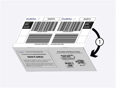 Check-in baggage, Print baggage tags & boarding pass - IndiGo