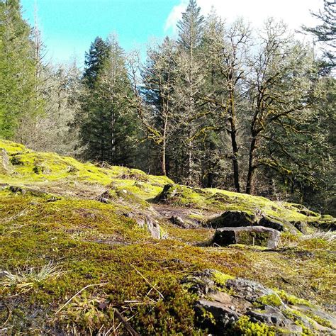 LACAMAS PARK TRAIL (2024) All You Need to Know BEFORE You Go (with ...