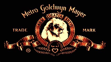 MGM Rewards | Loyalty Program | Earn Points Vector Art Vector Recipe Wallpaper Vector