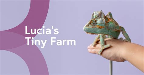 Lucia & Her Farm of Tiny Animals, Wellington Road,, NN13 6QZ Brackley ...