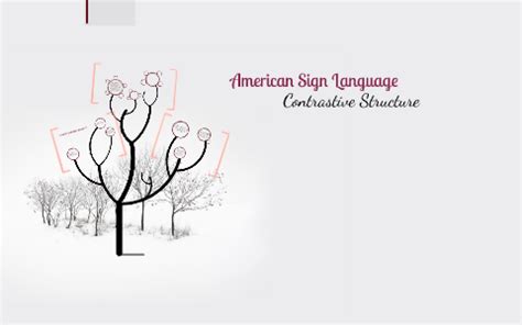 Image result for Contrastive Structure ASL
