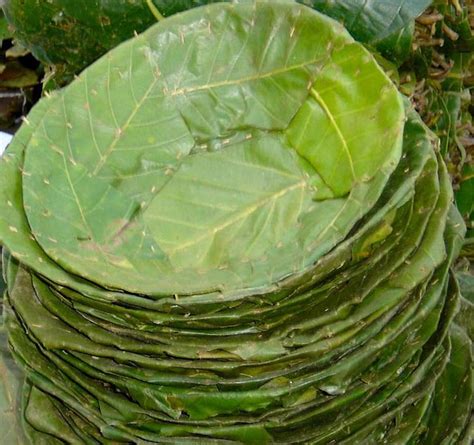 Prahaar.in | Marathi News: Latest Marathi News, PrahaarNews Live ...