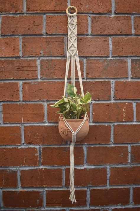 Cedar-Macramé - Planter- Combo – Swadeh – Artisanal Handcrafted Décor