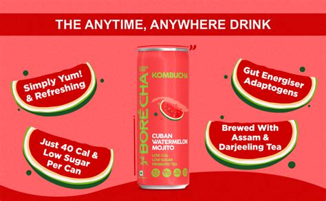 Borécha Probiotic Kombucha 330ml x 6 | Unpasteurized | Natural ...