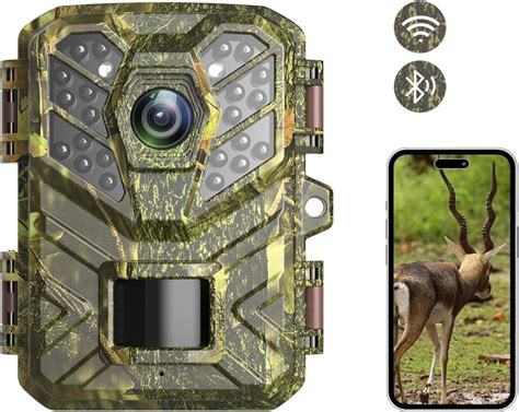 Target Camera App 的图像结果