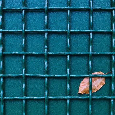 Download wallpaper sheet, background, the fence, section miscellanea in ...