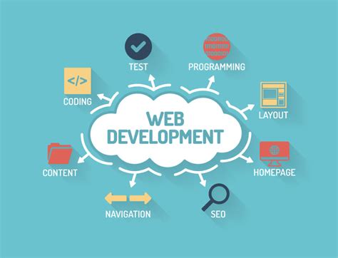 Web development by Nermin Muminovic on Dribbble