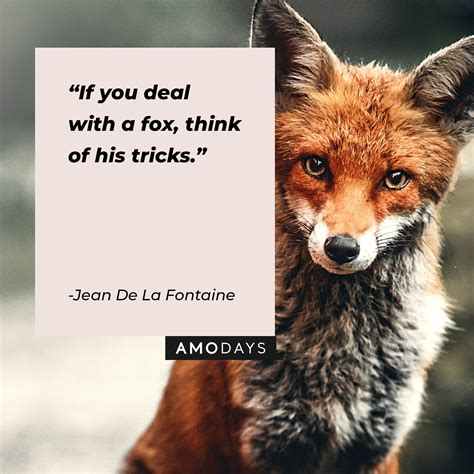 38 Fox Quotes: Time for This Tiny Trickster to Have Its Say